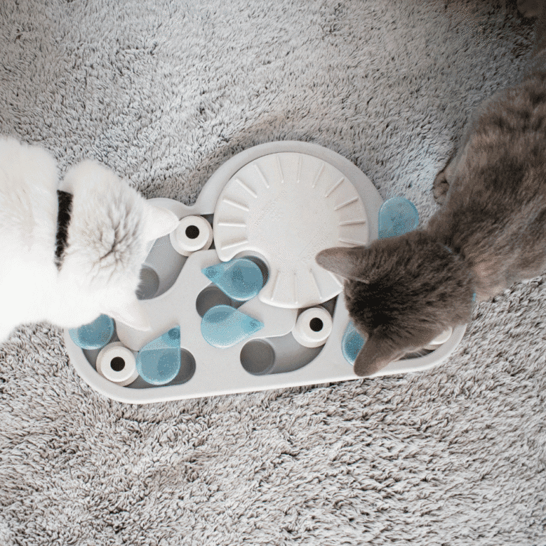 Rainy Day Puzzle & Play