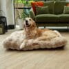 Scruffs Alpine Mattress Champagne XL 120×75 cm | Luxe hondenmatras