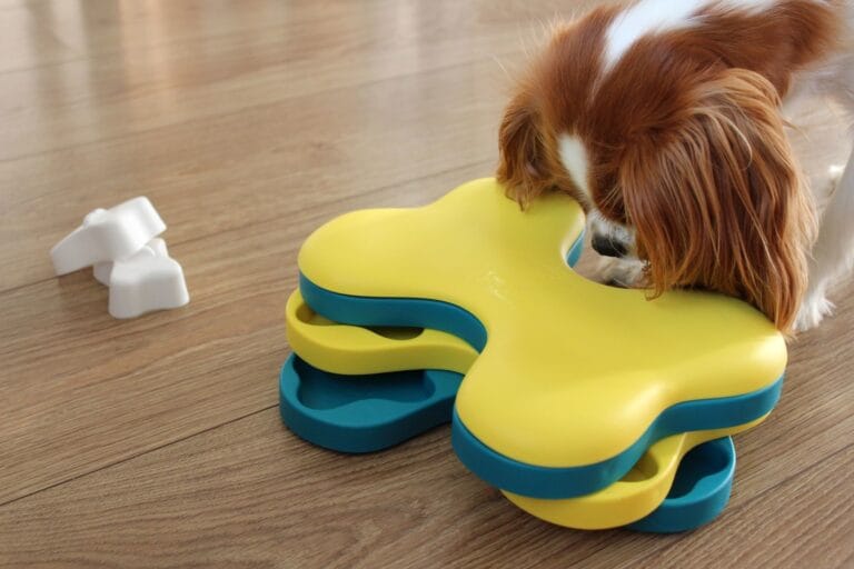 Outward Hound Dog Tornado – intelligentiespeelgoed voor honden (level 2)