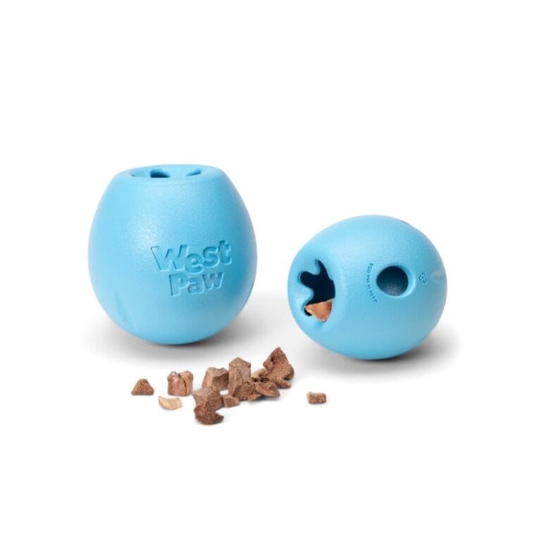 Zogoflex Echo Rumbl Aqua Blue / Large