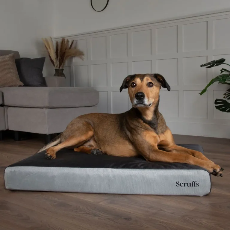 ArmourDillo Orthopedisch Hondenbed