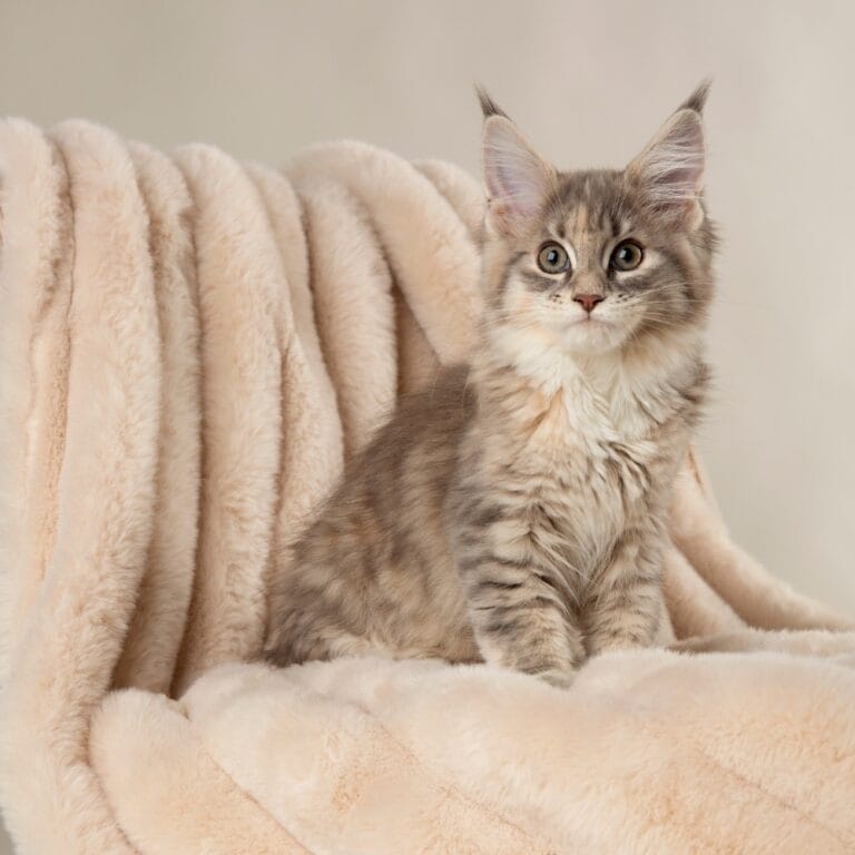 Scruffs Aspen Blanket Crème | Luxe en warme deken voor honden en katten