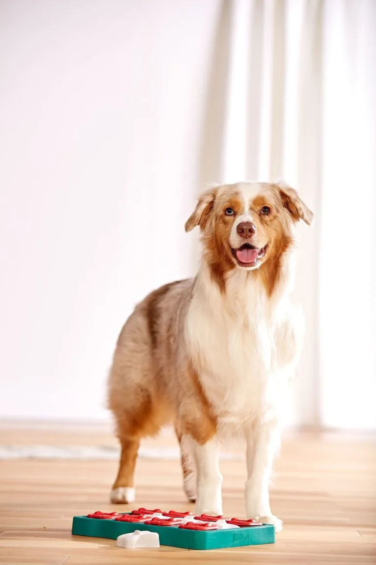 3-16.jpg Outward Hound Dog Brick – intelligentiespeelgoed voor honden (level 2)