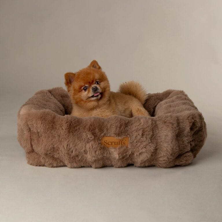 Scruffs Alpine Box Bed Taupe M 60×50 cm | Luxe honden- en kattenmand
