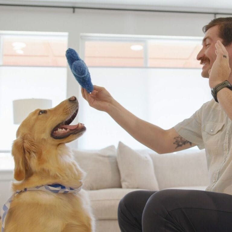 The Dog's Best Friend Game™