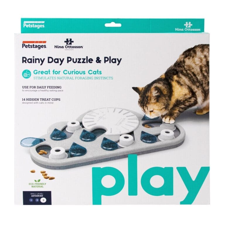 Rainy Day Puzzle & Play