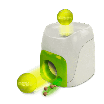 AFP Interactives Fetch'N'Treat Original