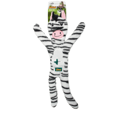 AFP Safari - Jungle Zebra