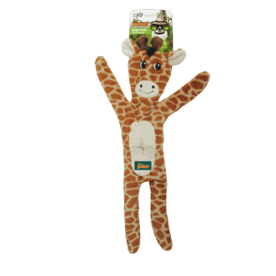 AFP Safari - Jungle Giraffe