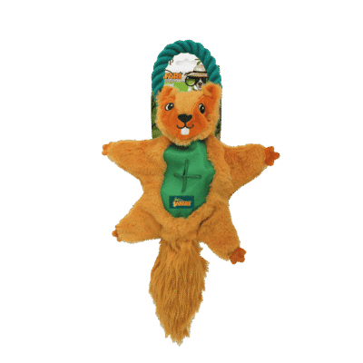 AFP Safari - Air Eekhoorn