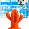 AFP Dental Chews - Dental Cactus M Oranje
