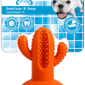 AFP Dental Chews - Dental Cactus M Oranje