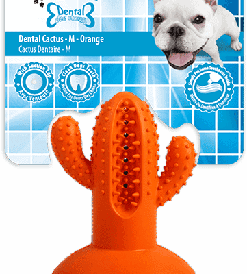 AFP Dental Chews - Dental Cactus M Oranje