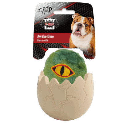 AFP My T-Rex Awake Dino