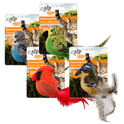 AFP Natural Instincts - Bouncing Bird