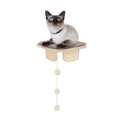 AFP Skywalk - Corner Platform