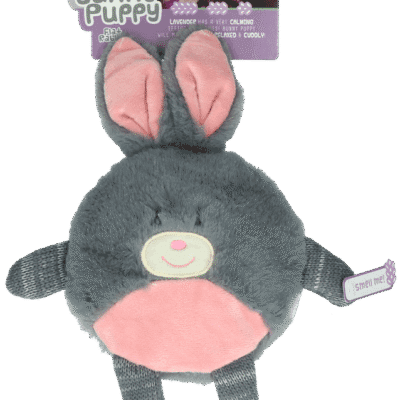 Bunny Puppy Flat Rabbit