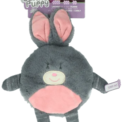 Bunny Puppy Flat Rabbit