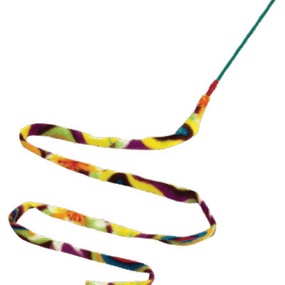 Cat Dancer Cat Charmer