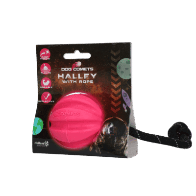Dog Comets Halley Met Touw Roze