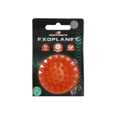 Dog Comets Exoplanet Egelbal S Oranje