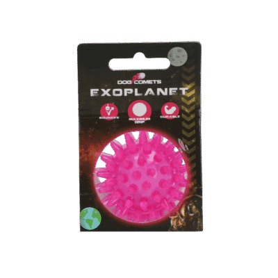 Dog Comets Exoplanet Egelbal S Roze