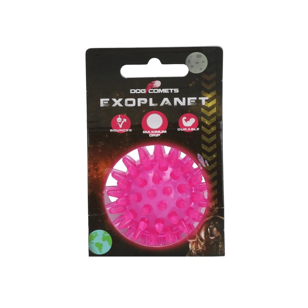 Dog Comets Exoplanet Egelbal S Roze