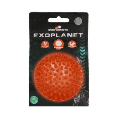 Dog Comets Exoplanet Egelbal M Oranje