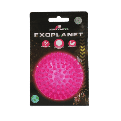 Dog Comets Exoplanet Egelbal M Roze