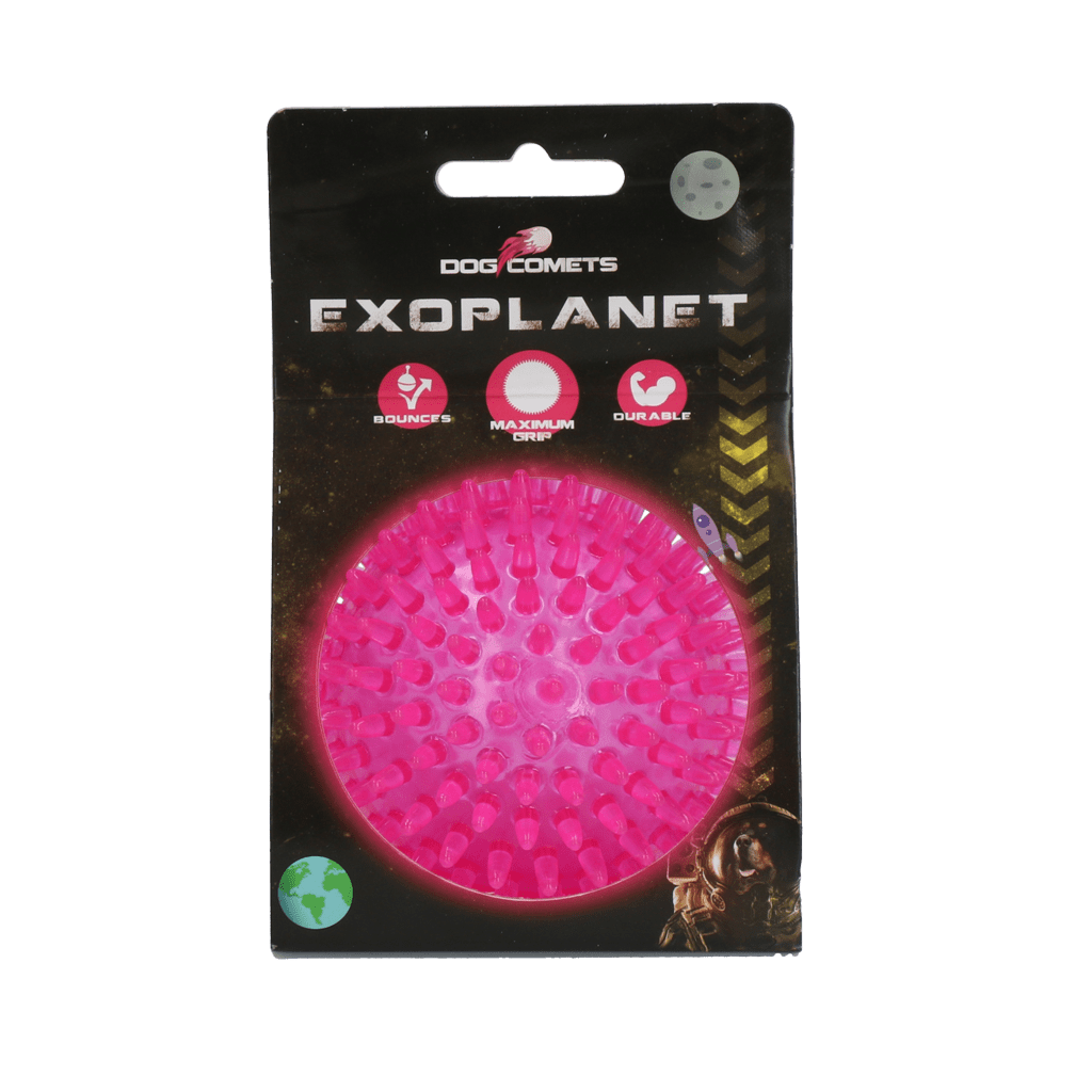Dog Comets Exoplanet Egelbal M Roze