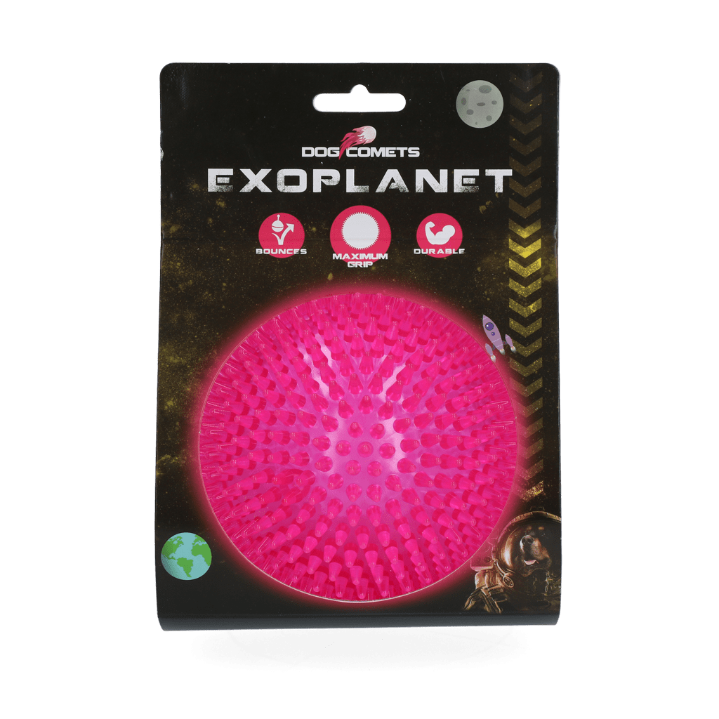 Dog Comets Exoplanet Egelbal L Roze