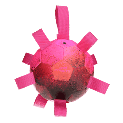 Dog Comets Hypernova Roze