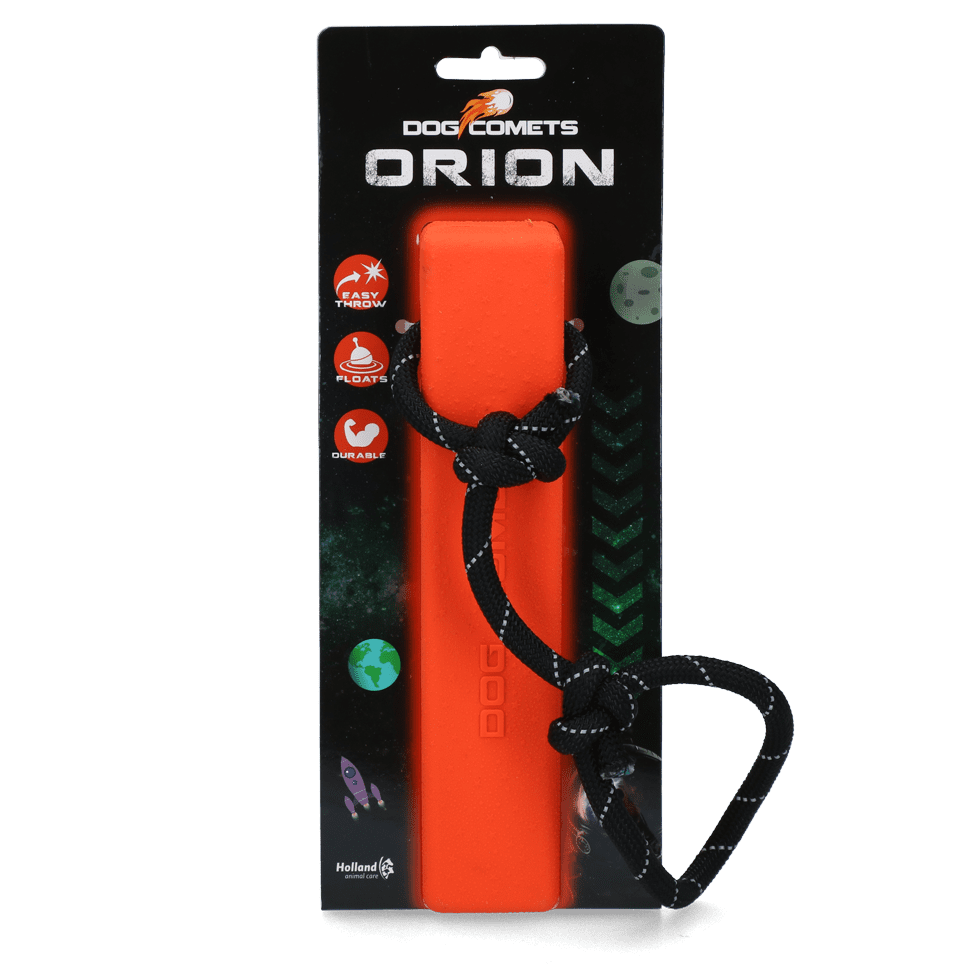 Dog Comets Orion Orange