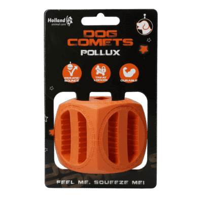 Dog Comets Pollux Oranje