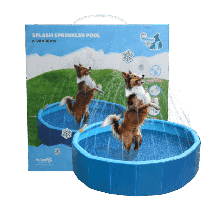 COOL019Z.png Coolpets Splash Sprinkler Pool
