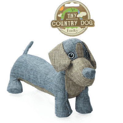 Country Dog Tiny Lucky