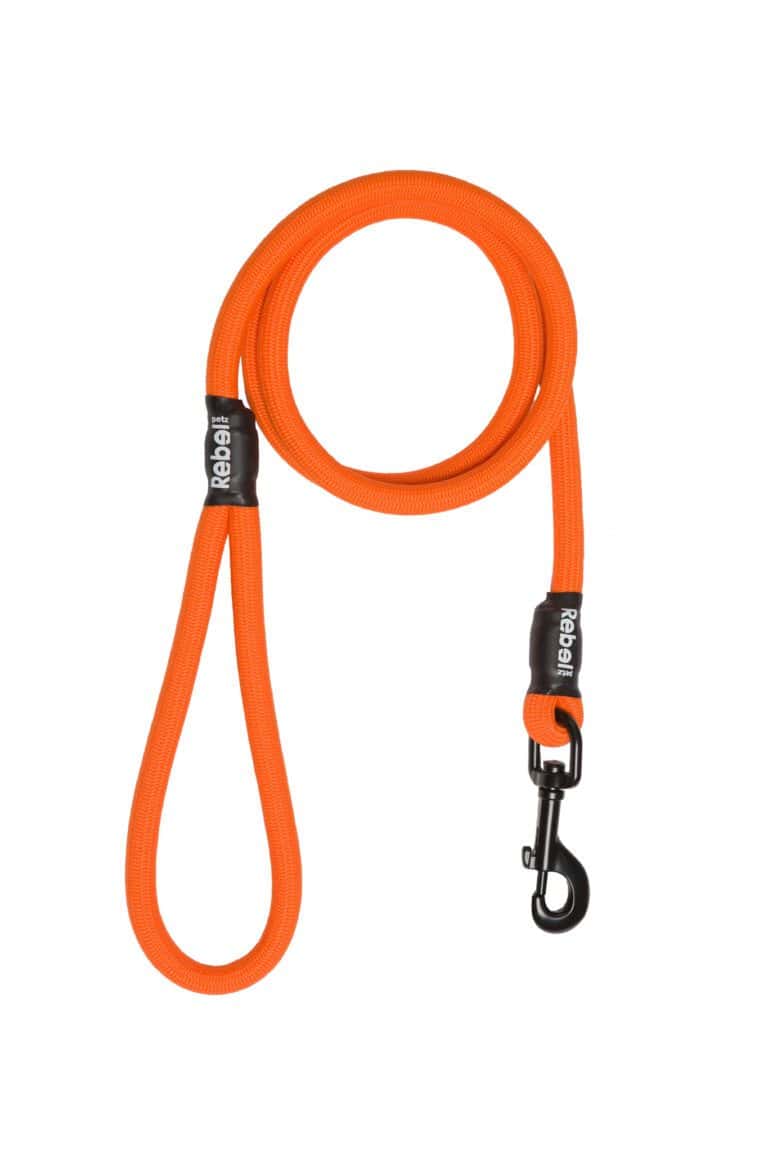0-27.jpg Basic Leash Oranje / Large - 12 mm x 140 cm