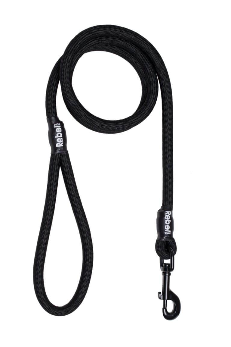 Basic Leash Zwart / Large - 12 mm x 140 cm