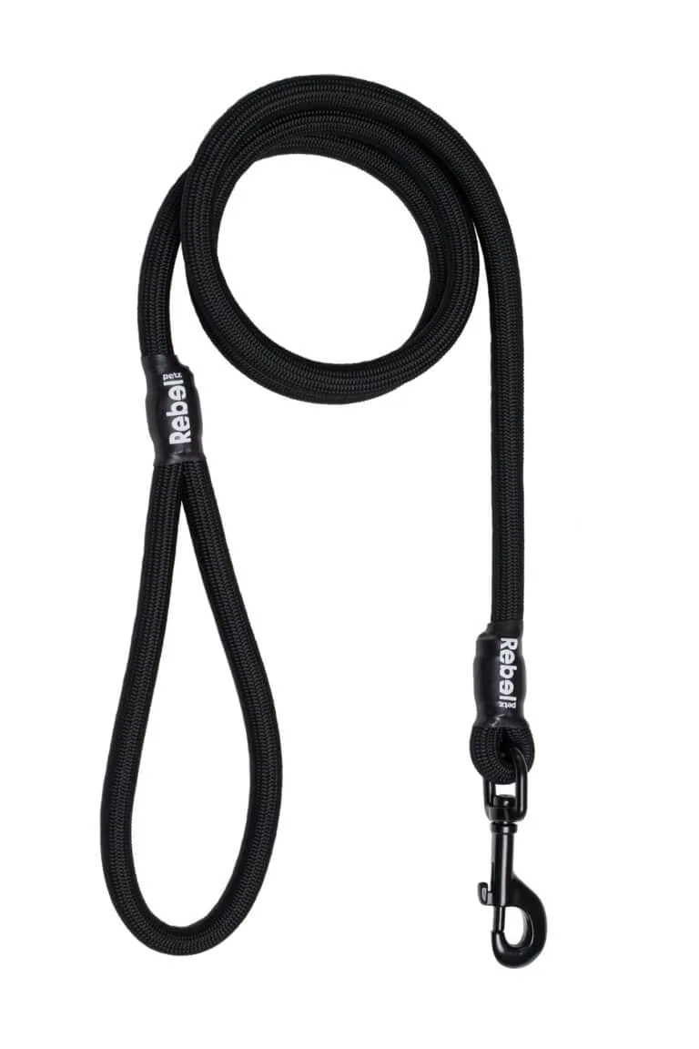 Basic Leash Zwart / Large - 12 mm x 140 cm