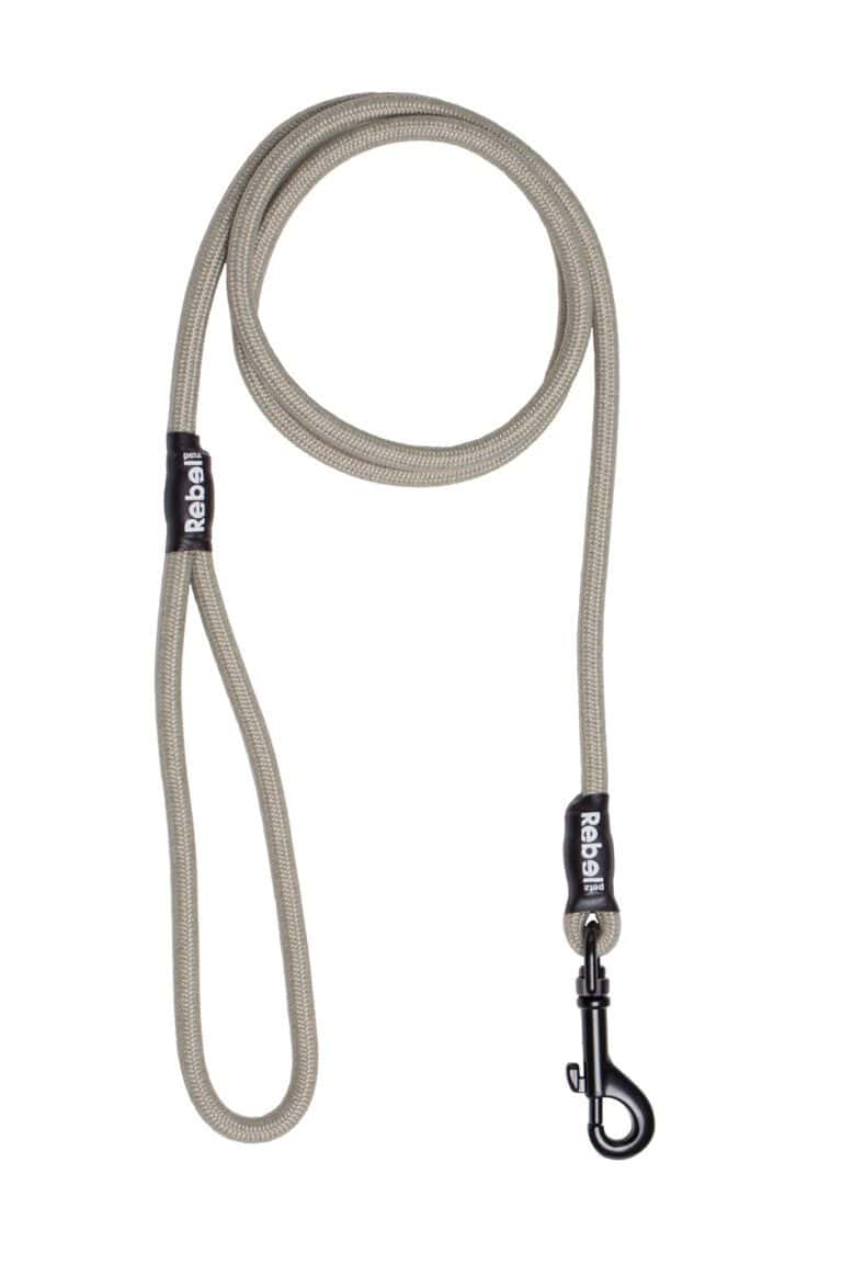 Basic Leash Taupe / Small - 8 mm x 140 cm