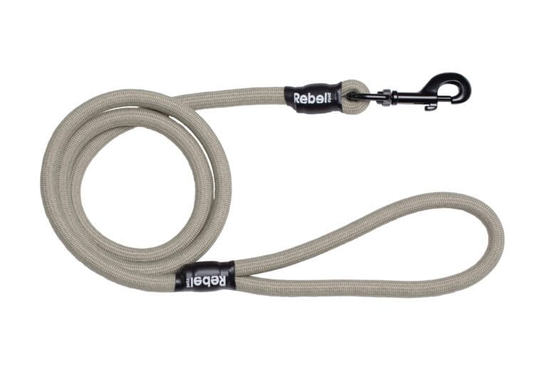Basic Leash Taupe / Large - 12 mm x 140 cm