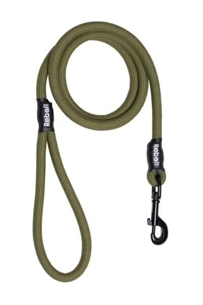 Basic Leash Groen / Large - 12 mm x 140 cm