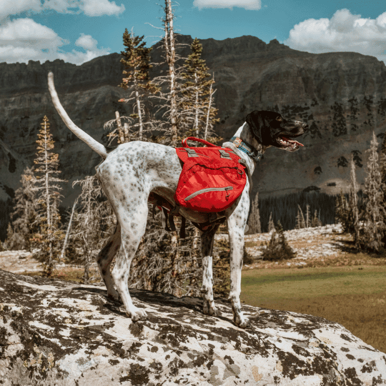1-16.png Big Baxter Backpack