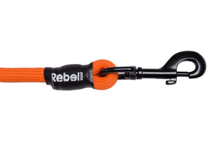 1-18.jpg Basic Leash Oranje / Large - 12 mm x 140 cm