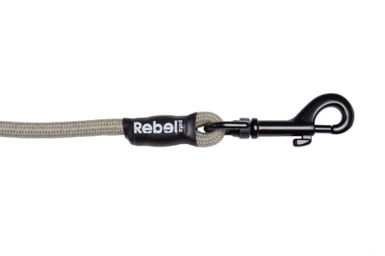 Basic Leash Taupe / Small - 8 mm x 140 cm
