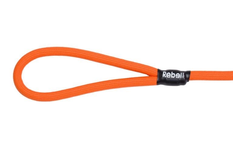 2-19.jpg Basic Leash Oranje / Large - 12 mm x 140 cm