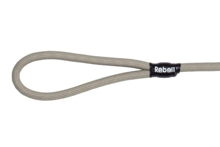 Basic Leash Taupe / Large - 12 mm x 140 cm