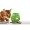 2-52.jpg SlimCat™ Food-Dispensing Cat Toy Groen