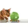 2-52.jpg SlimCat™ Food-Dispensing Cat Toy Groen