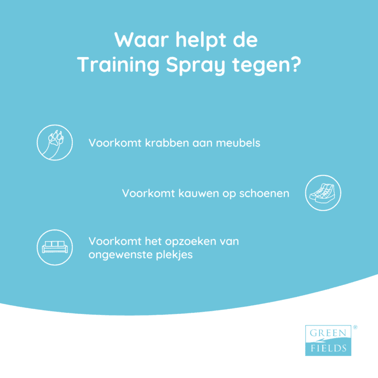 Training Spray 400 ml